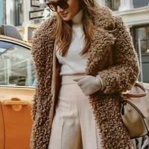Zara Faux Fur Brown Teddy coat